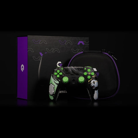 BigRobEnergy PS5 Controller