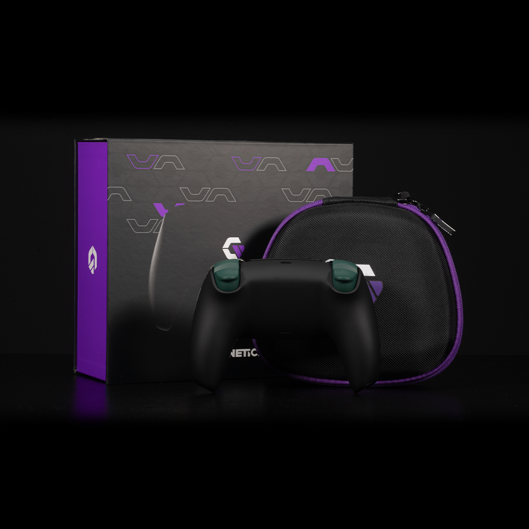 Winter Woods Camo PS5
