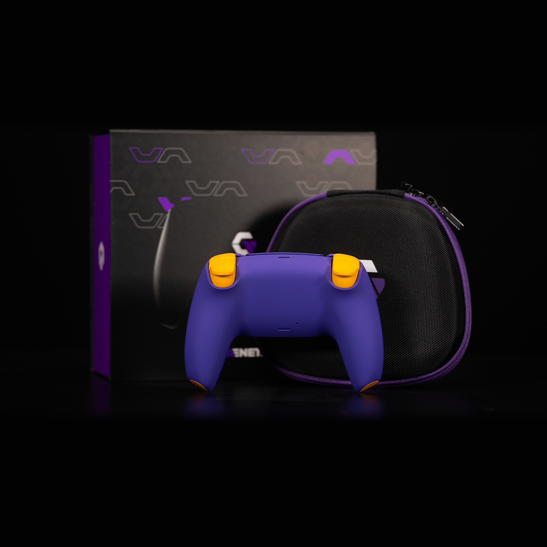 Vikings PS5