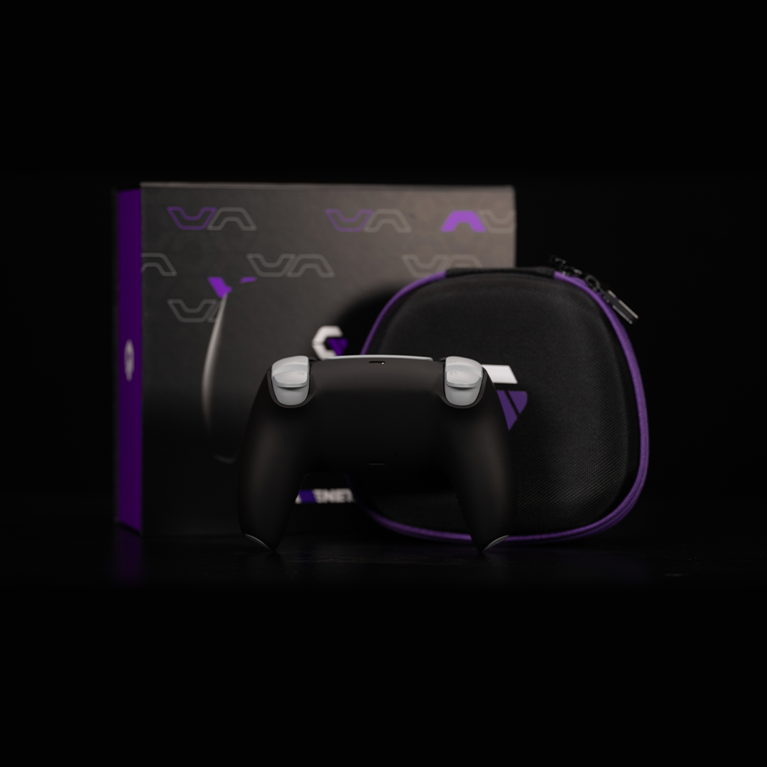 Raiders ps4 deals controller